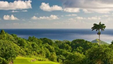 Apes-Hill-Golf-Course-in-Barbados-Leads-the-Way-in-Sustainability-TOP25GOLFCOURSES-TRAVELINDEX-500x299.jpg